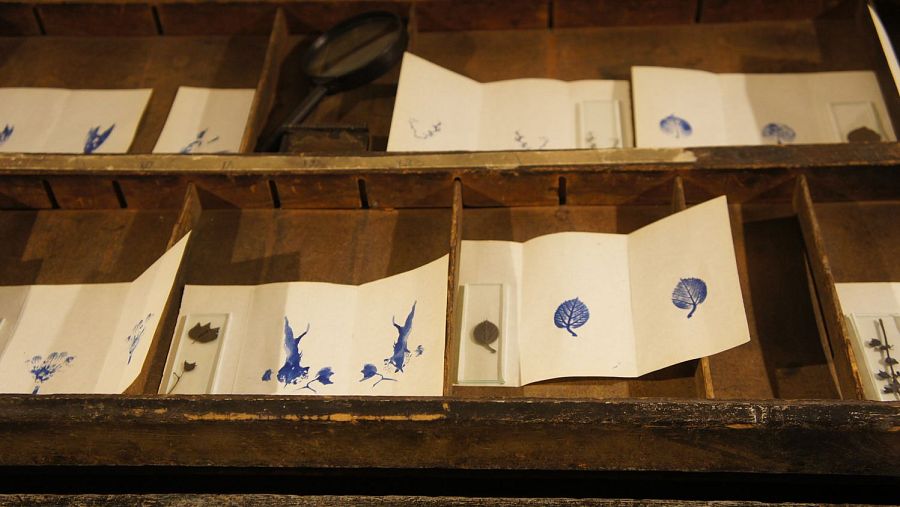 La Magdalena y otros estudios de campo (Tania Candiani, 2013)