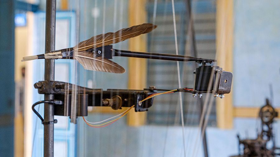 Arpas de agua (Tania Candiani, 2021)