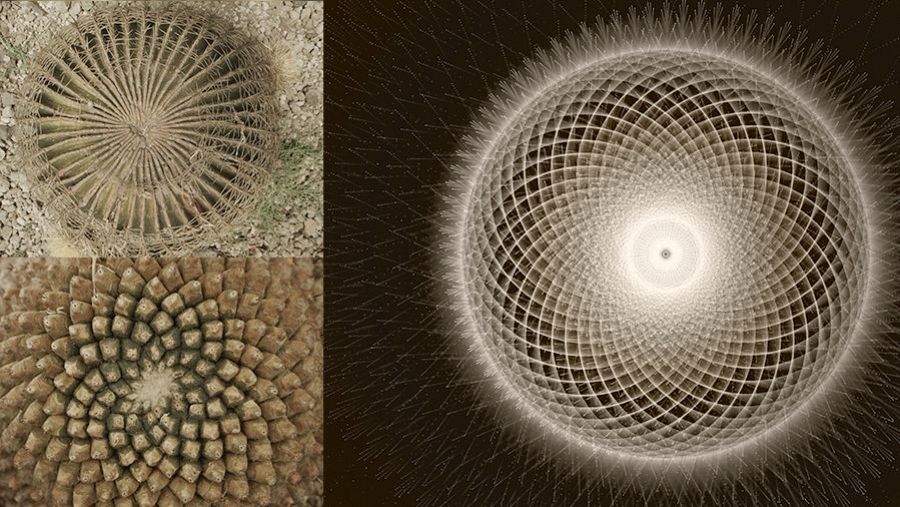 Preludio cuántico (Tania Candiani, 2022)