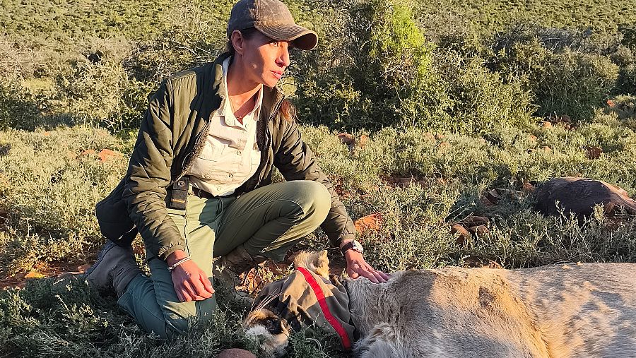 Fabiola Jones, durante una de las intervenciones