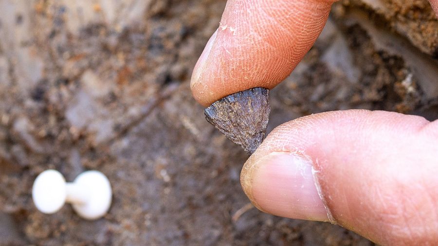 Descubrimiento del primer fragmento de pirita de hierro en 2017 en Barnham, Suffolk.