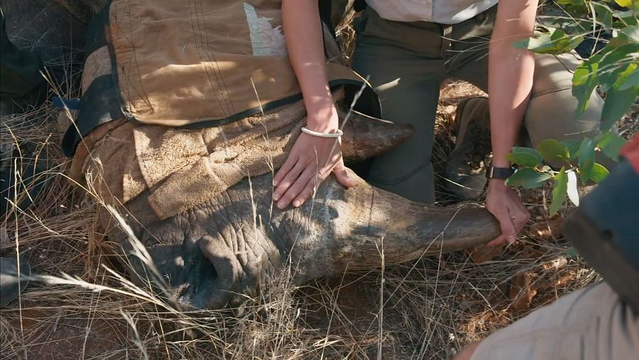 Imagen del capítulo