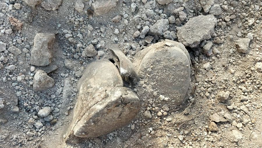 Botas halladas en una de las fosa excavada entre el 24 de noviembre y principios de diciembre en Albarracín, Teruel