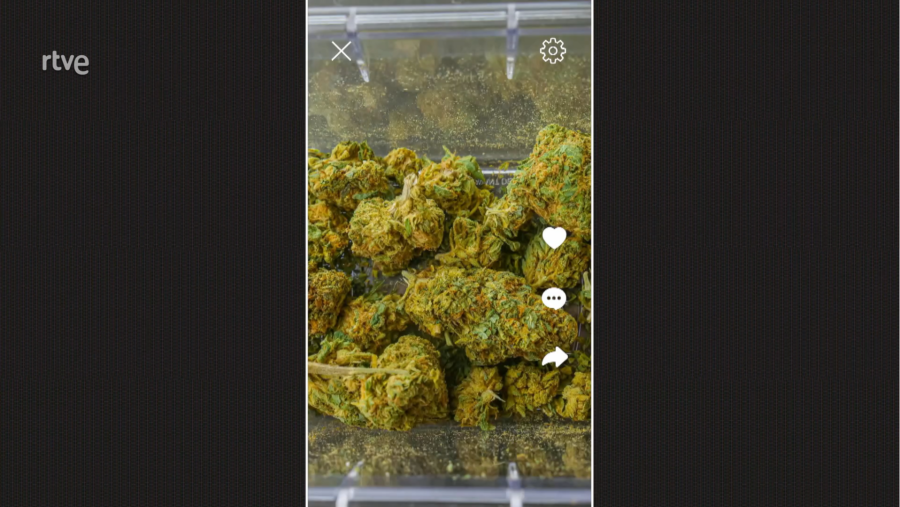 Entre los jóvenes es realmente fácil conseguir drogas, sobre todo en redes sociales.