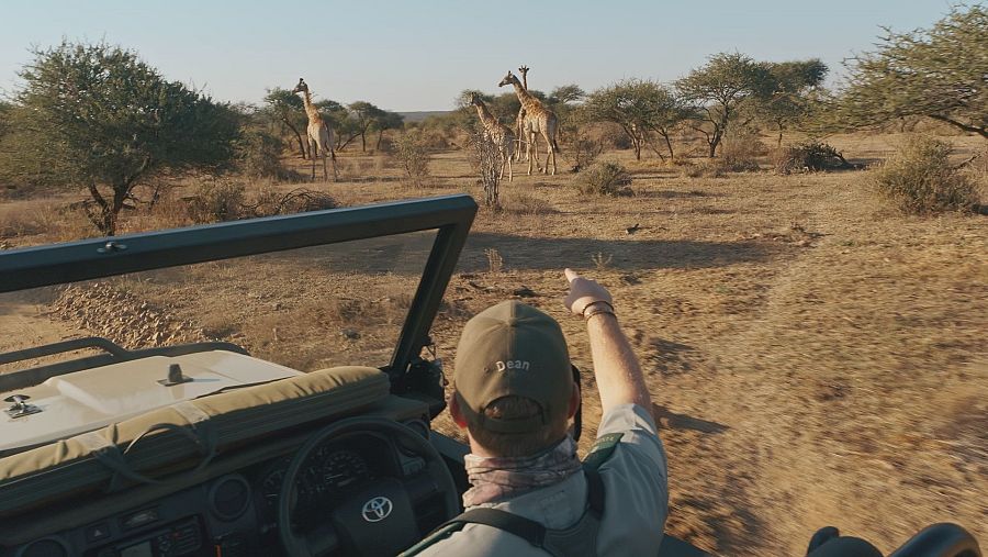 Capítulo 3 de 'Dra. Fabiola Jones'