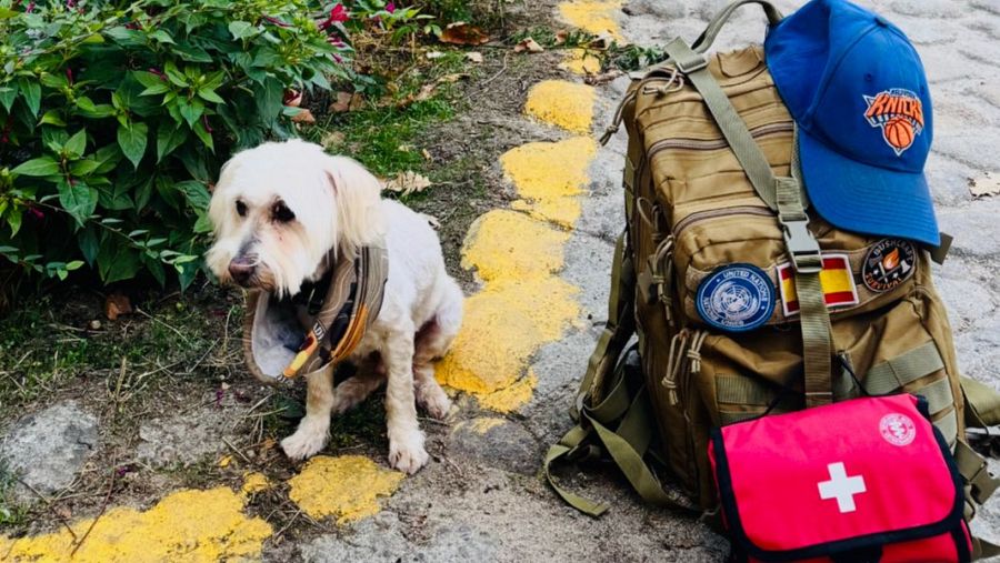 Migas, preparado para una nueva etapa del Camino de Santiago junto al equipo imprescindible del peregrino: mochila, botiquín, agua… y mucha lealtad.