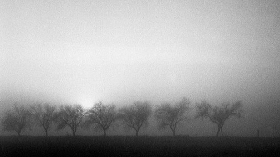 Memorias sonámbulas, la propuesta de Luis Asín