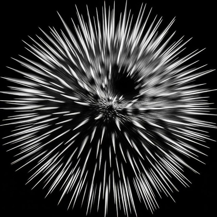 Erizo, de Julián Zuazo