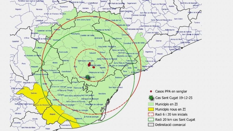 Mapa dels municipis en zona afectada per la pesta porcina i casos en senglars fins al 19 de desembre