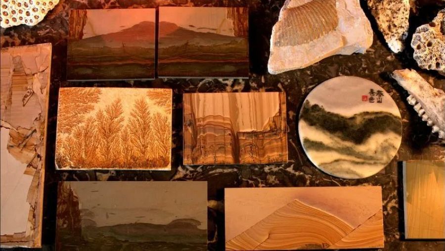 Voyage autour de ma chambre (Olivier Smolders, 2008)