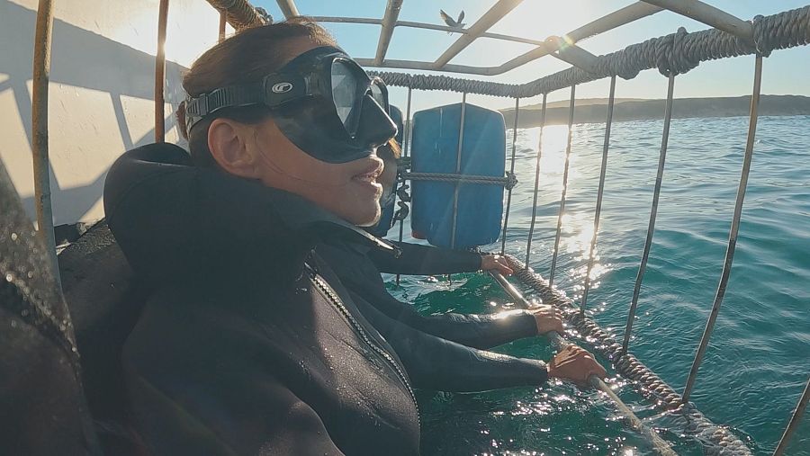 La 'Dra. Fabiola Jones'  investiga la desaparición del tiburón blanco