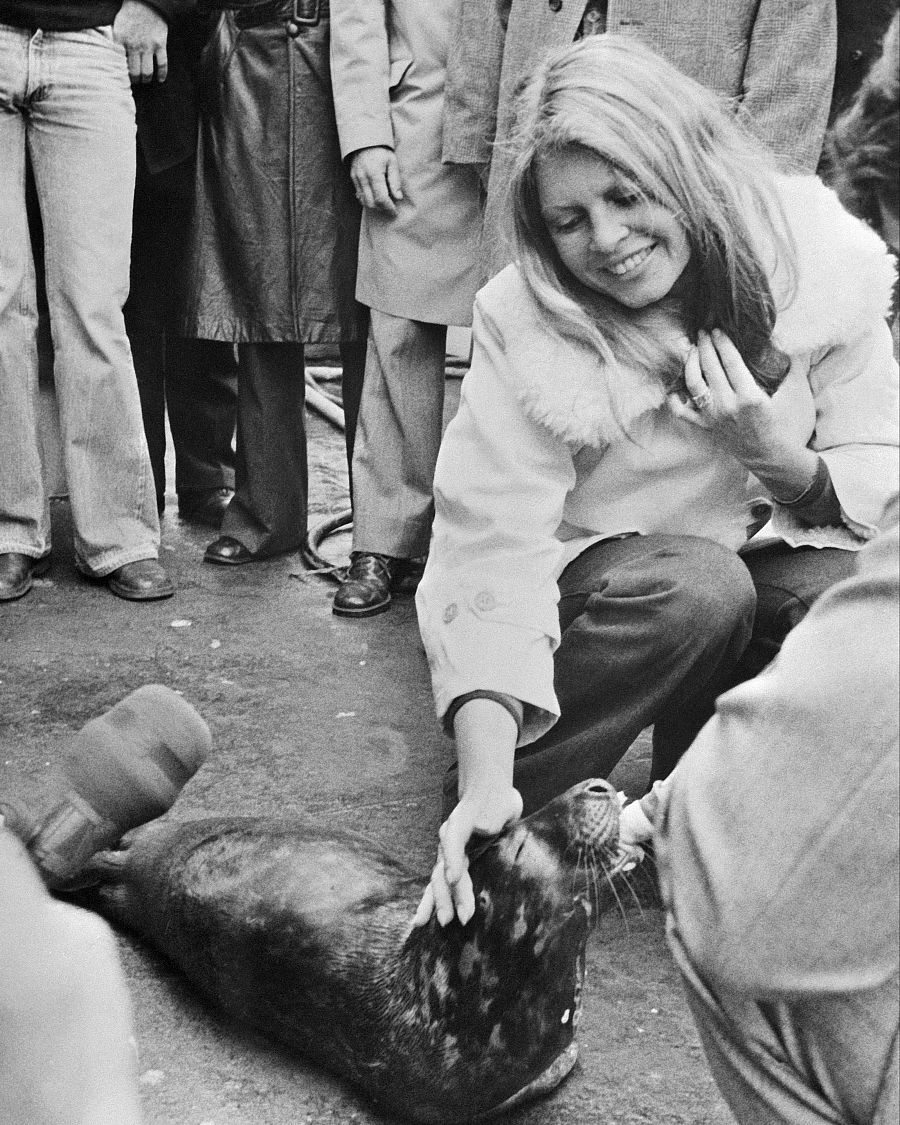 Bardot se implicó en causas contra el maltrato animal, especialmente a focas