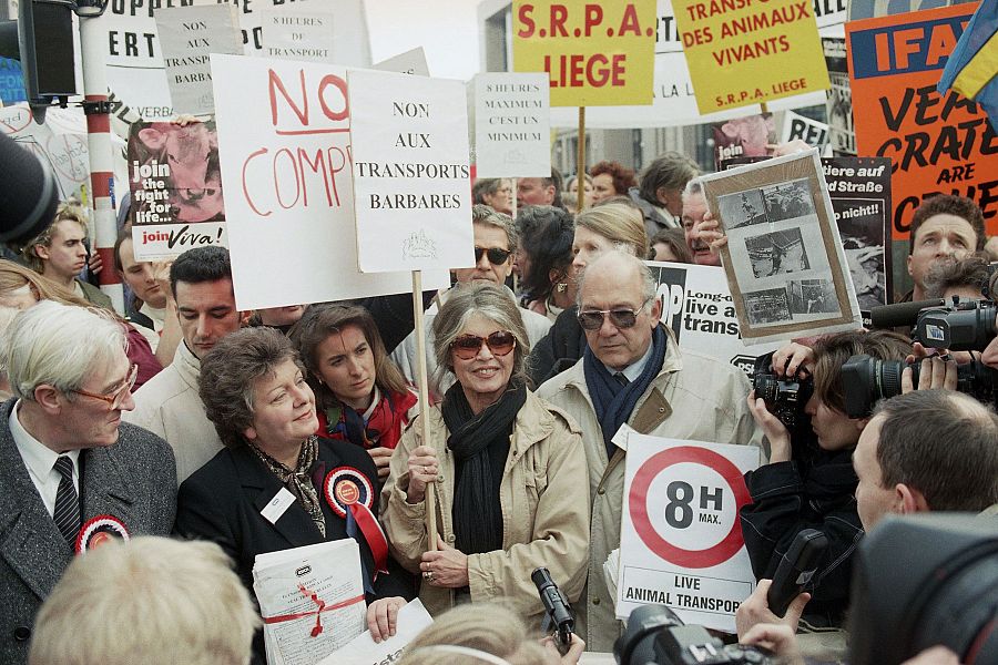 Bardot, durante una protesta contra el maltrato animal en Bruselas, en 1995(AP Photo/Jacques Collet, File)