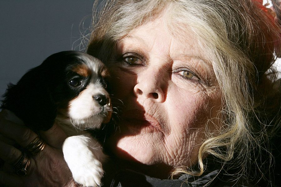 La actriz Brigitte Bardot en una perrera de Niza sosteniendo uno de los 143 cachorros incautados en una furgoneta húngara