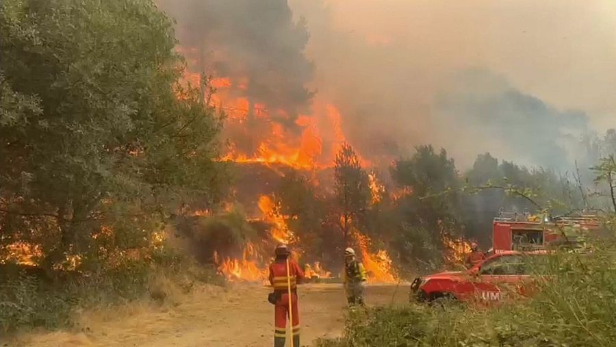 Equipos de la UME tratan de extinguir un incendio forestal