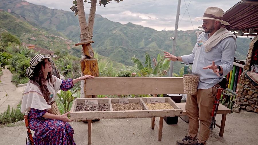 Diferentes tipos de proceso del café
