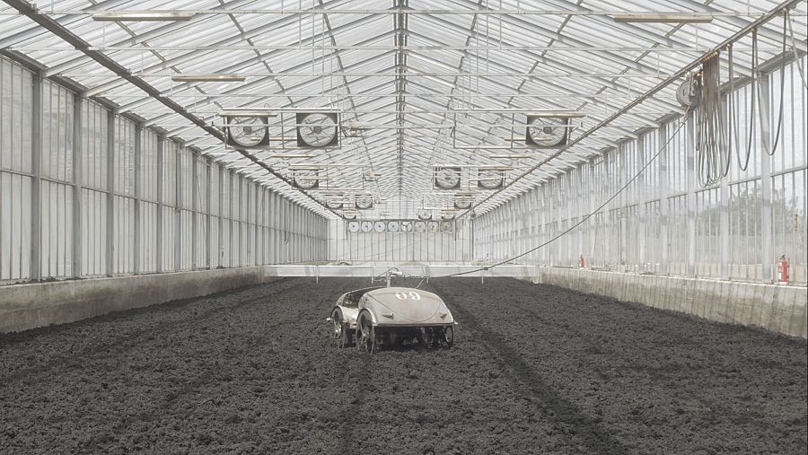 Insular (Albert García-Alzórriz, 2021)