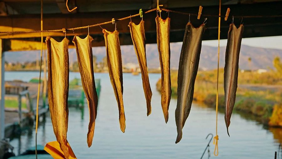 Anguiles al xapadillo assecant-se al sol