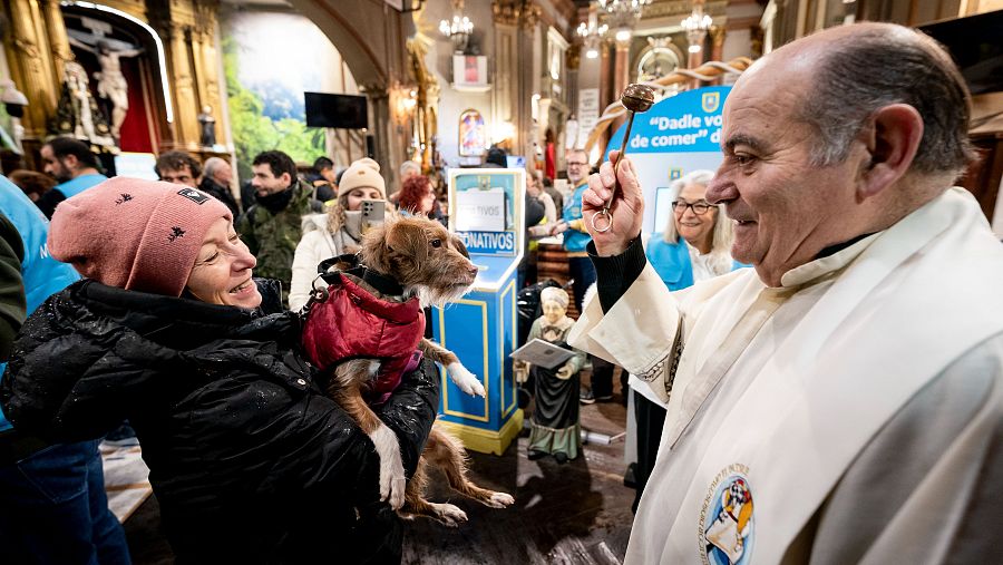 Un perro recibe la bendición