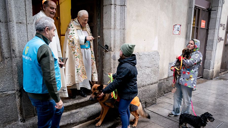 Varios perros a las puertas de la Iglesia de San Antón