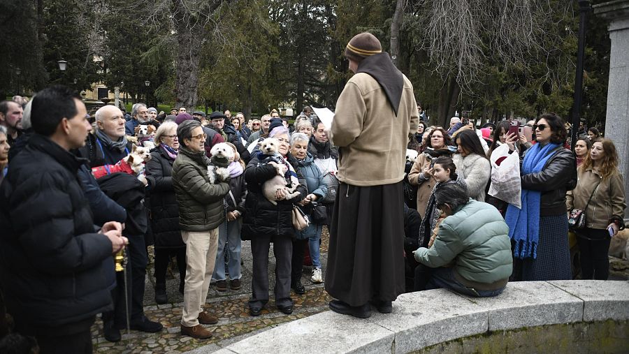 Salamanca bendice a sus animales