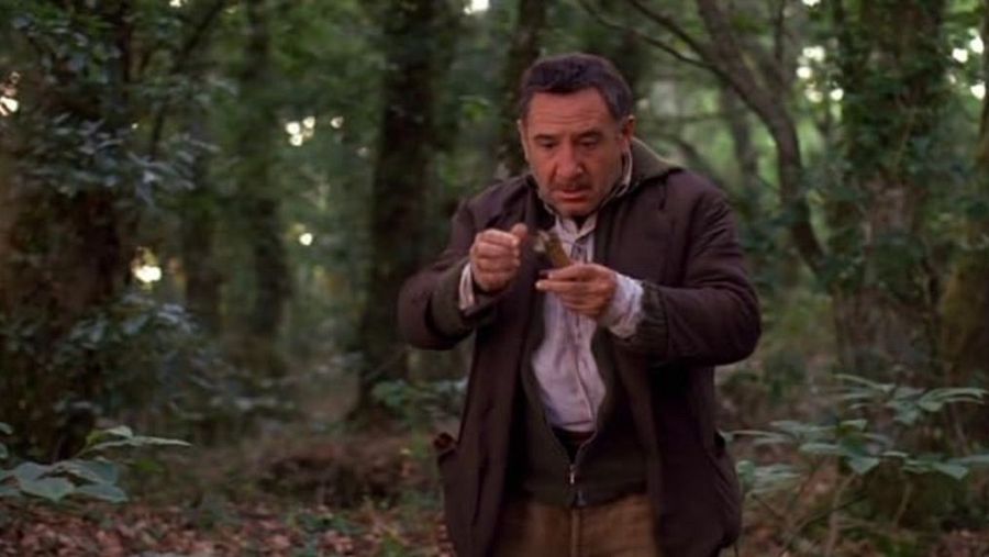 El bosque animado, de José Luis Cuerda, ver en RTVE Play