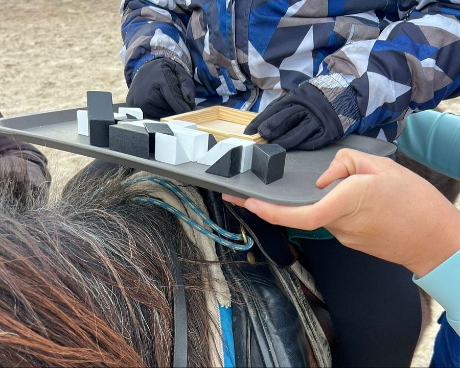 Equinoterpia: ejercicios de psicomotricidad fina