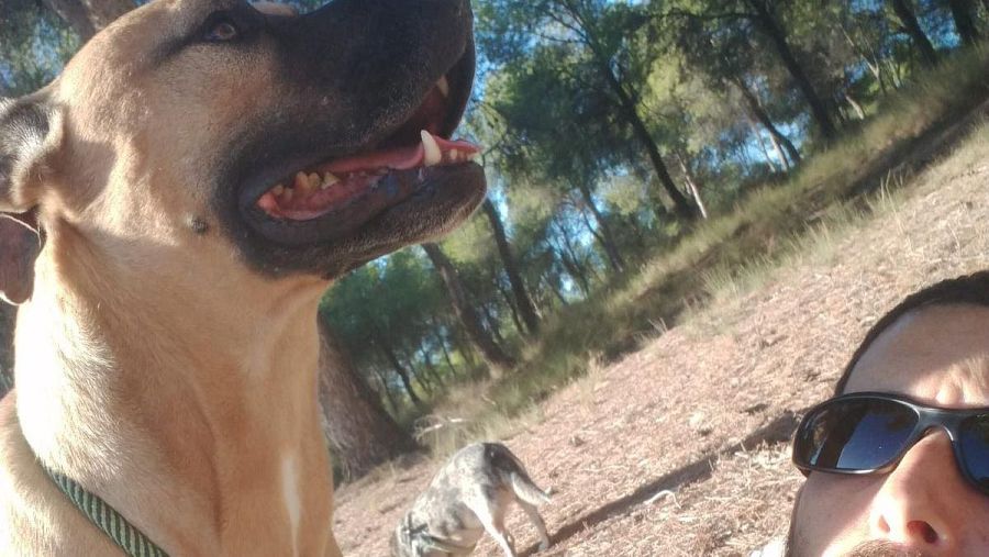 Un hombre barbudo con gafas de sol se fotografía con su perro en un entorno natural. El perro, de pelaje claro y hocico oscuro, lleva un collar verde y está muy cerca de la cámara.