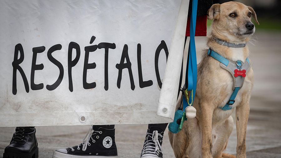 Concentración en la Plaza del Castillo de Pamplona