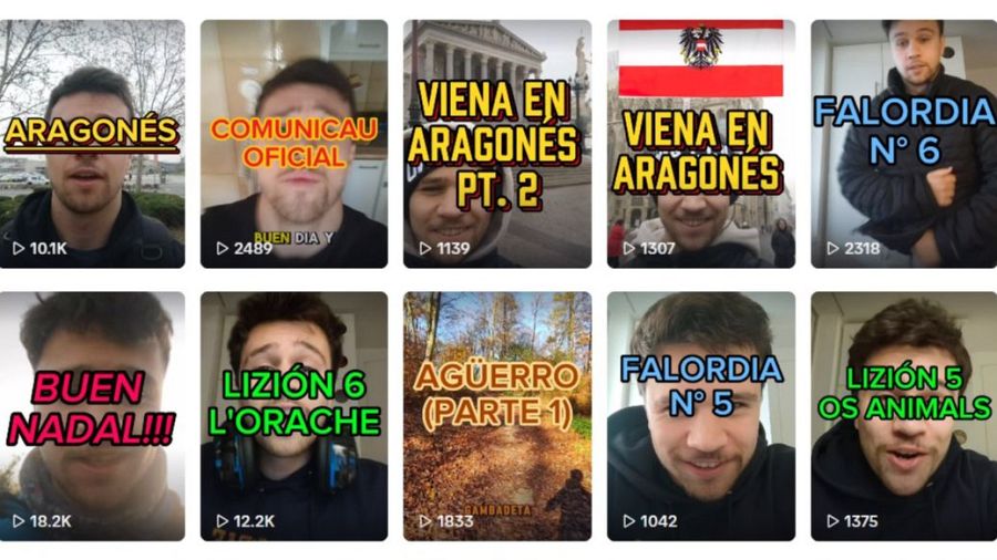 Vídeos de la cuenta de Tik-Tok de @pardalaragones.