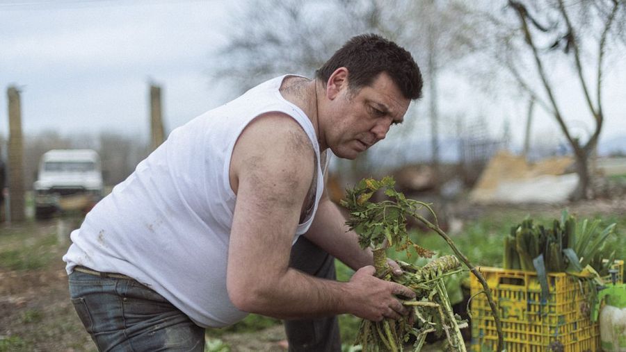 'Un amor', de Isabel Coixet, llega a RTVE Play