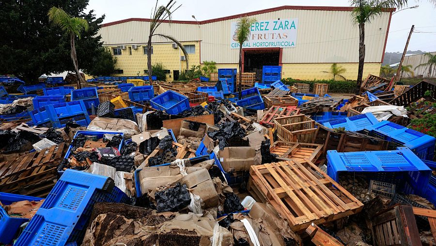 Más del 20% de producción agrícola dañada 14000 hectareas de terreno afectadas en andalucia por borrascas
