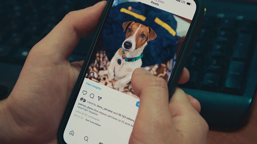 Pantalla de un móvil mostrando una foto de Patrón, el perro ucraniano detector de minas, en su cuenta de Instagram.