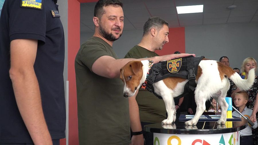 Volodímir Zelenski junto a Patrón, el perro detector de minas, durante un acto institucional.