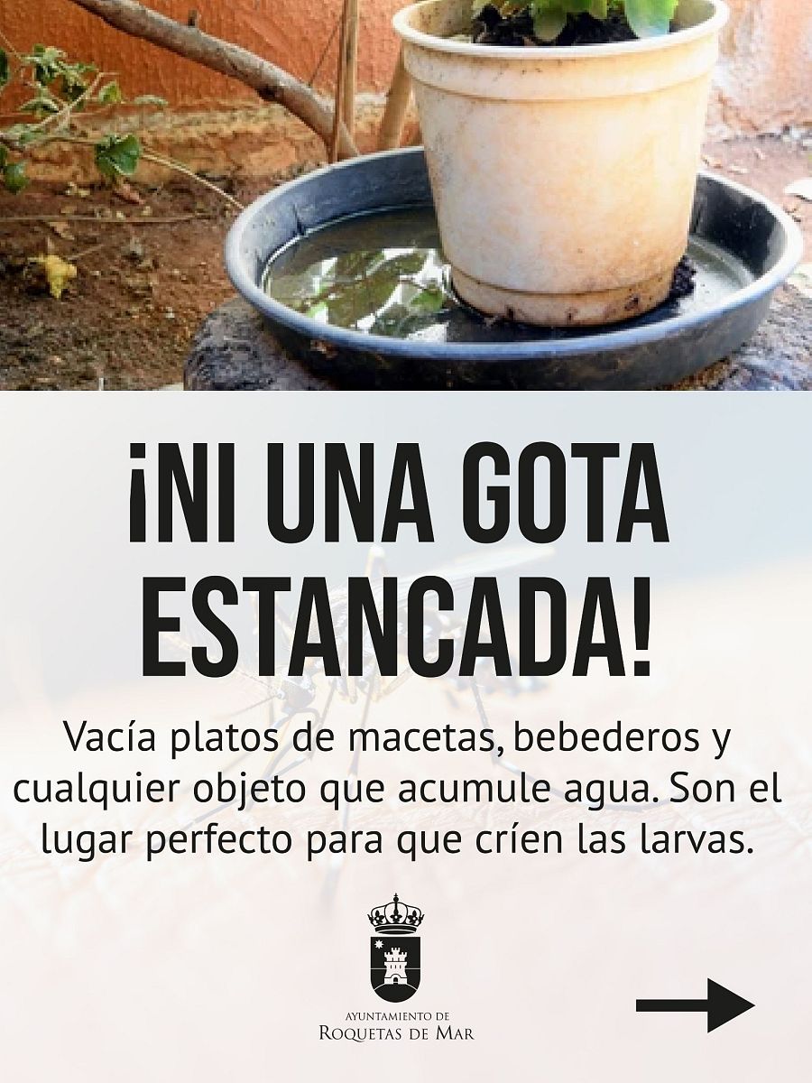 Campaña del Ayuntamiento de Roquetas de Mar