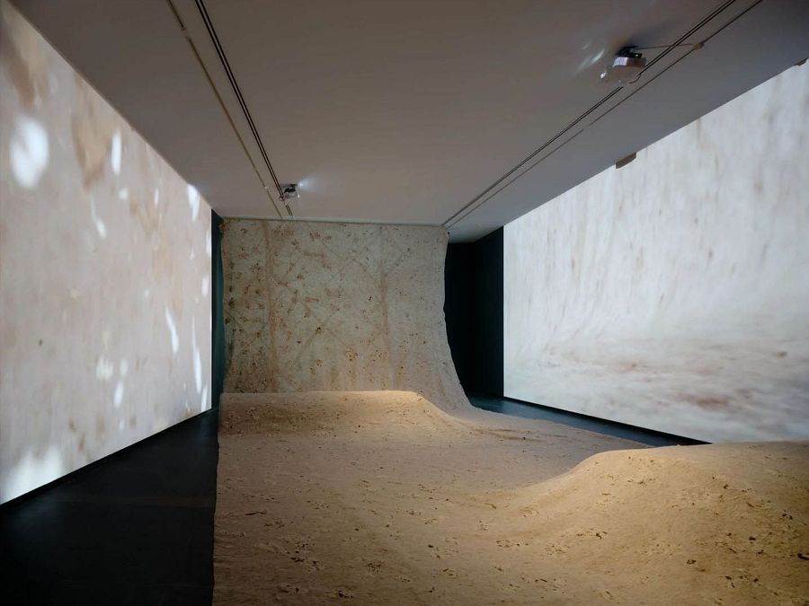 Mil leches (Asunción Molinos Gordo, 2024)