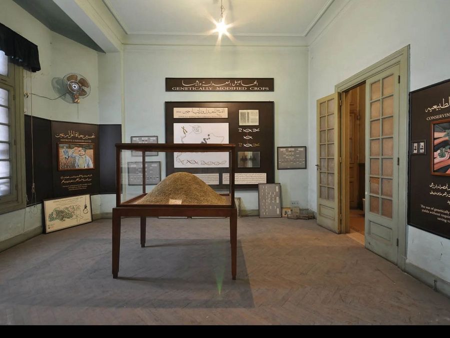 WAM – World Agriculture Museum (El Cairo, 2010)