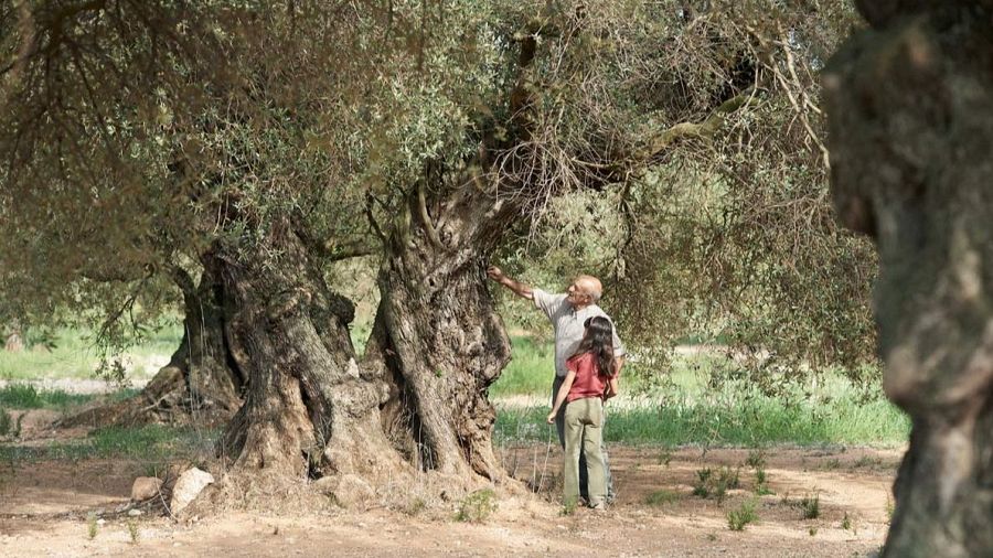 'El olivo', con Anna Castillo