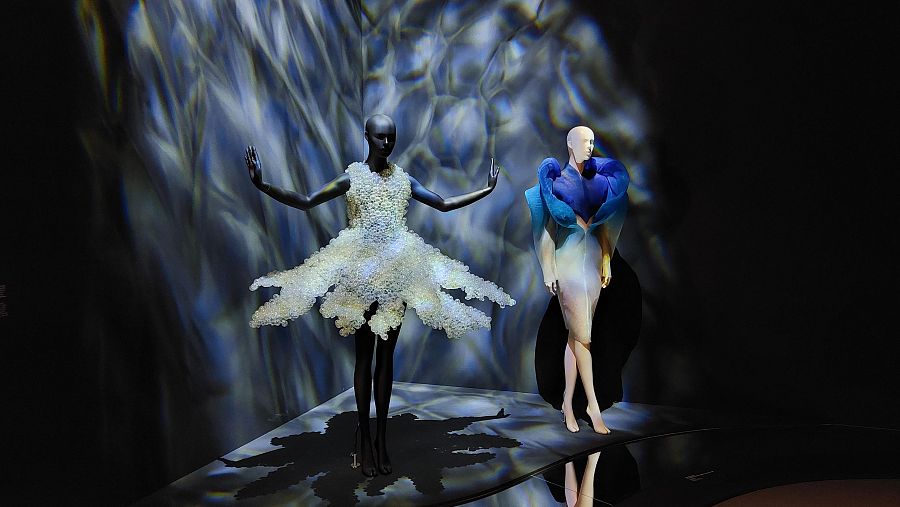 Seijaku Dress (Iris van Herpen, 2016)