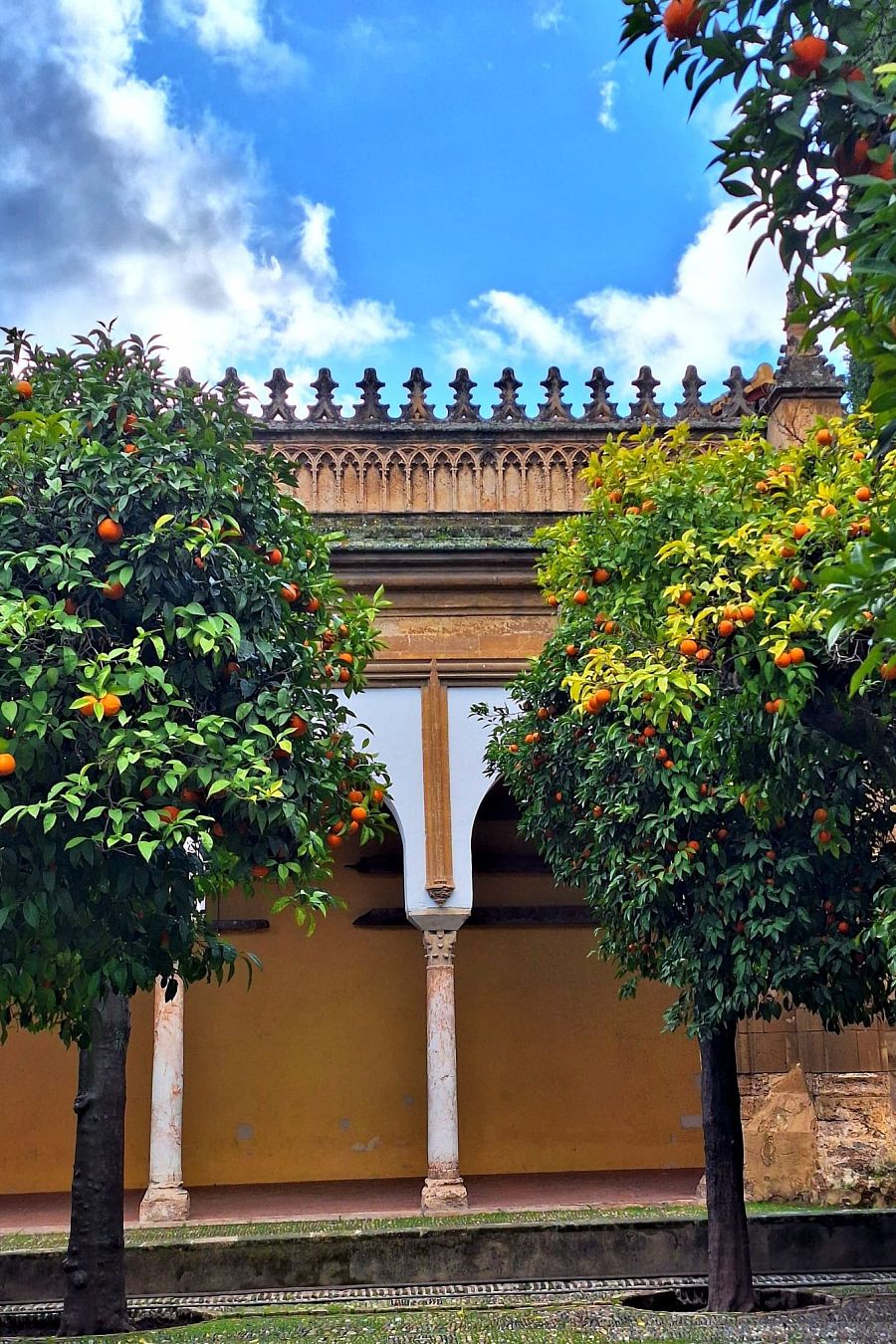 Patio de los Naranjos, Córdoba