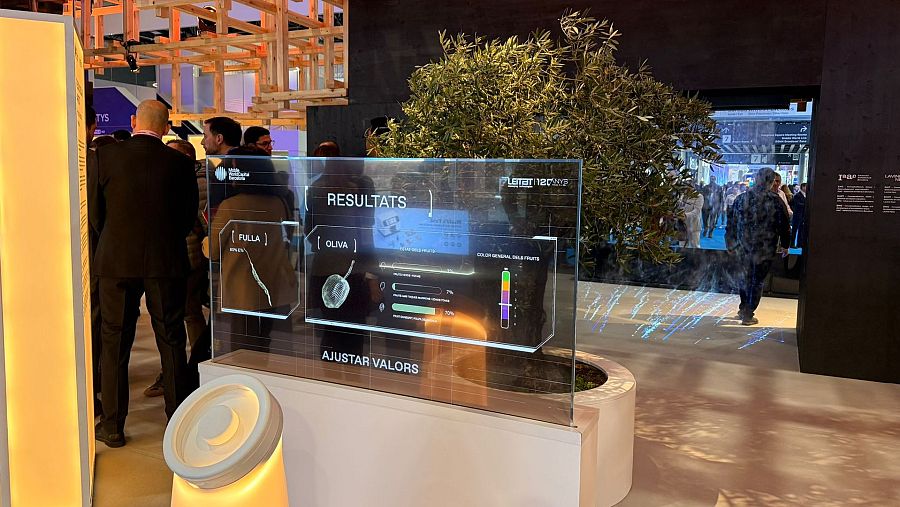 Proyecto Olivo bio-circular Harvest, desarrollado por MWCapital Barcelona en colaboración con el centro tecnológico LEITAT.