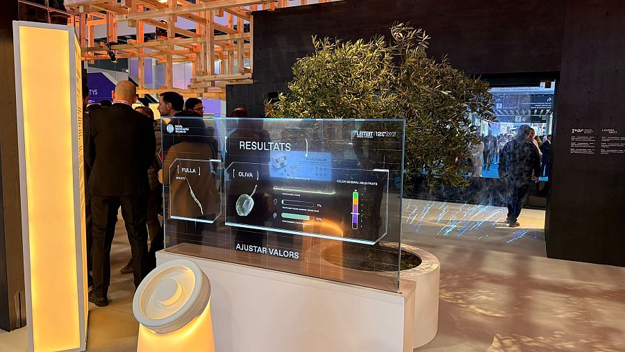 Projecte Olivera bio-circular Harvest, desenvolupat per MWCapital Barcelona en col·laboració amb el centre tecnològic LEITAT.