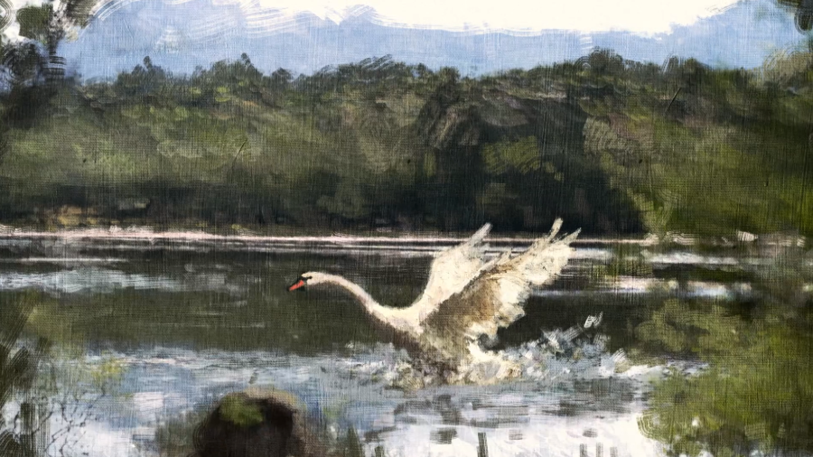 Uno de los símbolos de la nueva cabecera de 'Valle Salvaje'