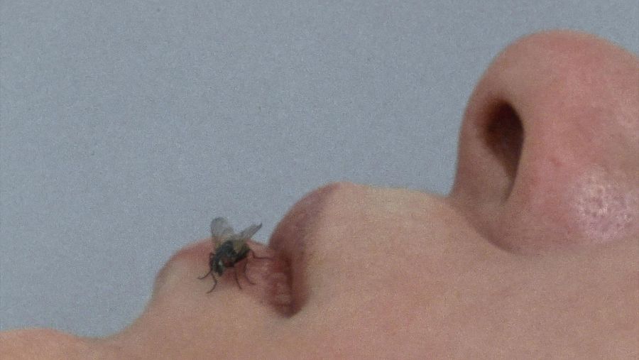 Mosca (Yoko Ono, 1970/1971)