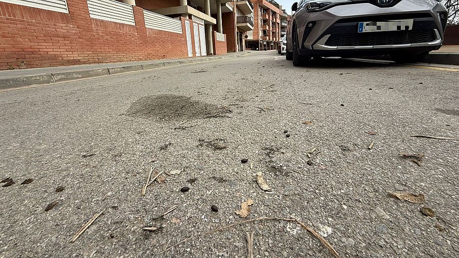 Veïns indignats per les caques de cabra que omplen les voreres de Sant Climent