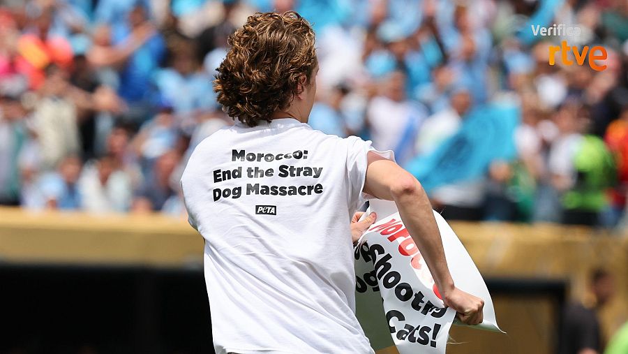 Un manifestante de Peta durante un partido de la Copa Mundial de Clubes de la FIFA el 18 de junio de 2025
