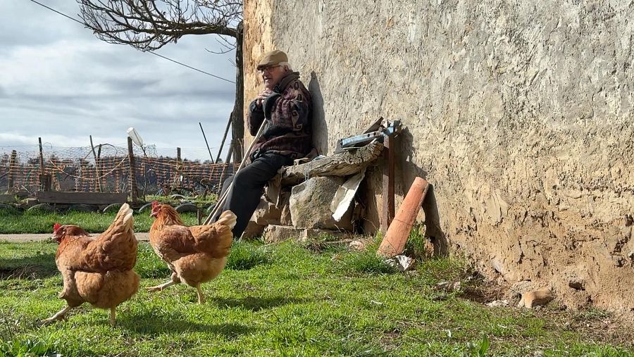 Edilio observa sus gallinas desde el banco que tiene en la puerta de su casa