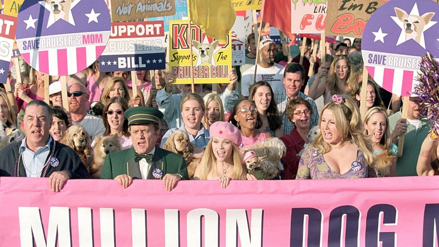 Elle Woods con sus aliados para sacar adelante la 'ley Bruiser'.