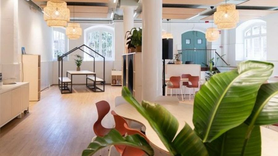 Menjador escolar reformat