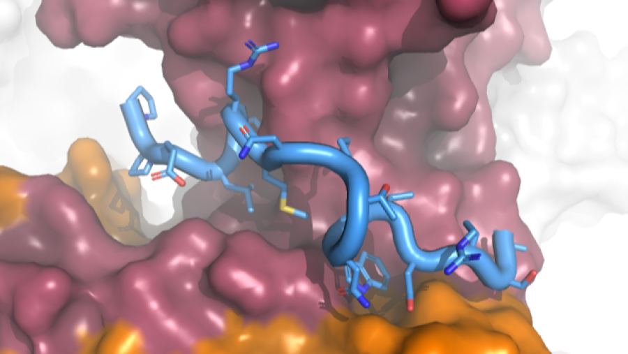 Modelo tridimensional de una proteína generado por inteligencia artificial, representado como una estructura compleja de formas entrelazadas y colores